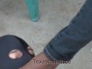 Texascameltoe