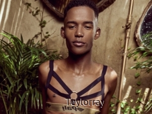Teylorray