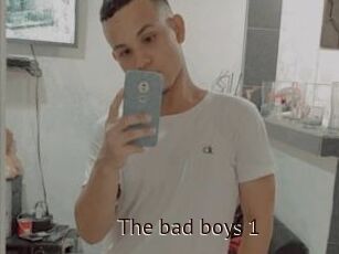 The_bad_boys_1
