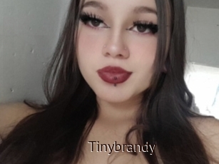 Tinybrandy