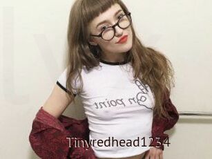 Tinyredhead1234