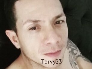 Torvy23