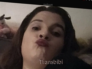Transbibi
