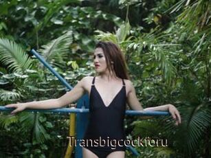 Transbigcockforu
