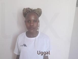 Uggal