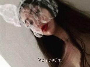 VeniceCat