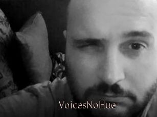 VoicesNoHue