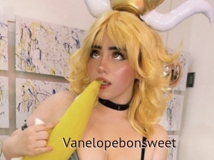 Vanelopebonsweet