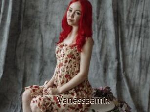 Vanessaamix