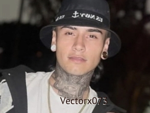 Vectorx073