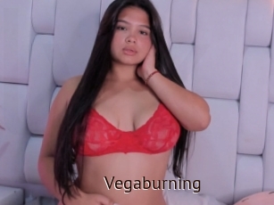 Vegaburning