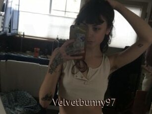Velvetbunny97