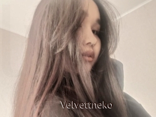 Velvettneko