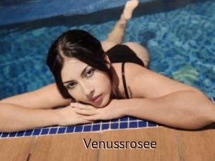 Venussrosee
