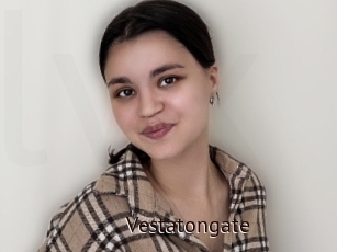 Vestatongate