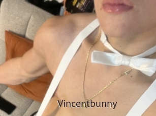 Vincentbunny