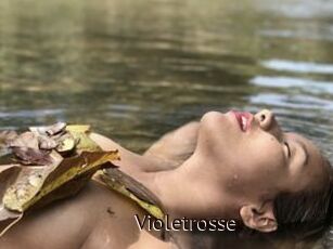 Violetrosse