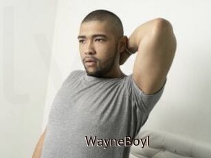 WayneBoyI