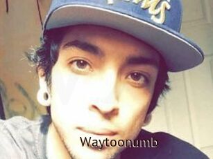 Waytoonumb