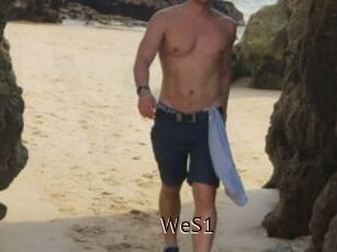WeS1