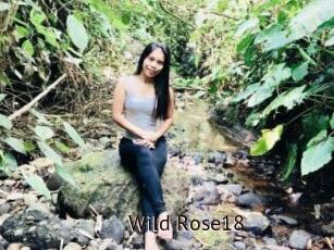 Wild_Rose18