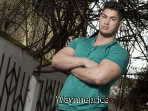 Waynneprice