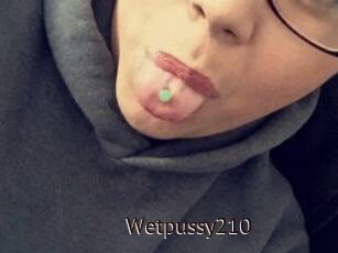 Wetpussy210