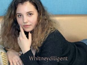 Whitneydiligent
