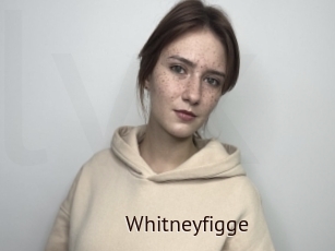 Whitneyfigge