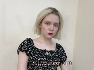 Wildagleghorn