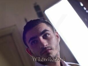 Wildwildstud