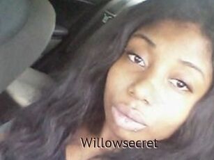 Willow_secret