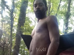 Wolf