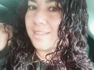 YECAOL23