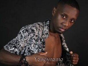 Yandynamo