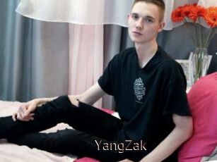 YangZak