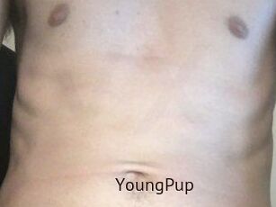 YoungPup