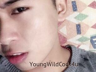 YoungWildCock4u