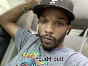 YourMrBull