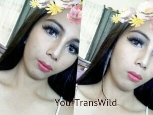 YourTransWild