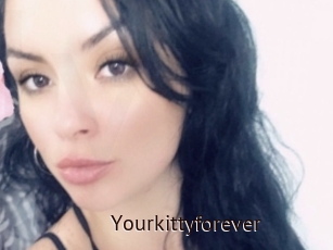 Yourkittyforever