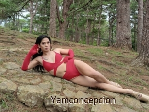 Yamconcepcion