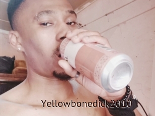 Yellowbonedick2010
