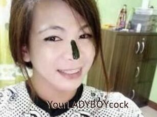 YourLADYBOYcock