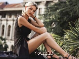 Yourbird