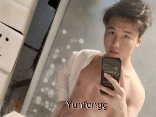 Yunfengg
