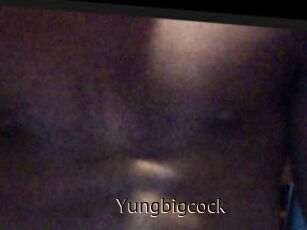 Yungbigcock
