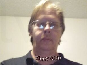 Ziggy2020