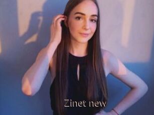 Zinet_new