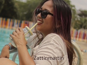 Zattinmartin